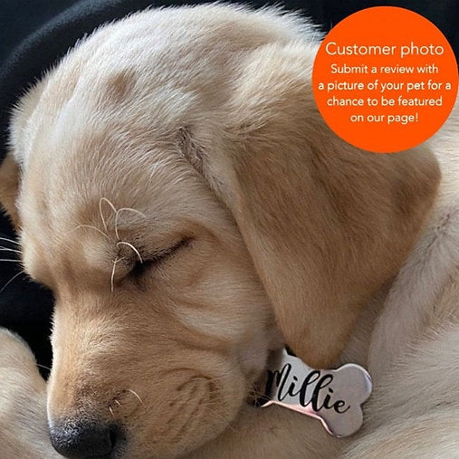 Dog Name Tag