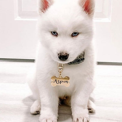 Dog Name Tag