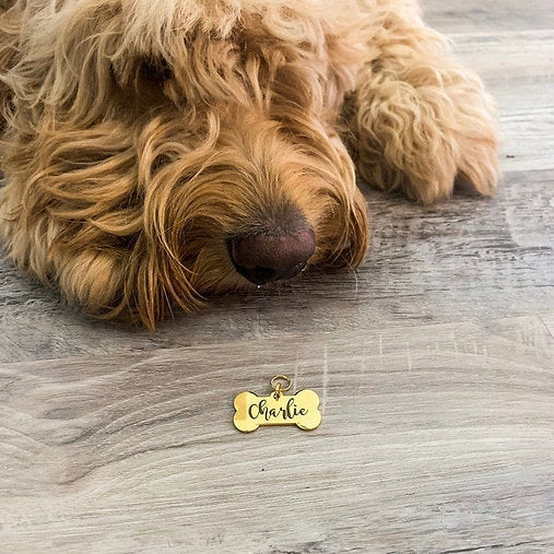 Dog Name Tag